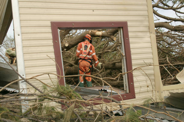 How Our Tree Care Process Works  in  Palmetto, GA